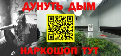 шишки Владикавказ