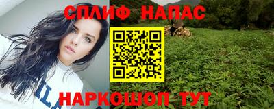 СК Владимир