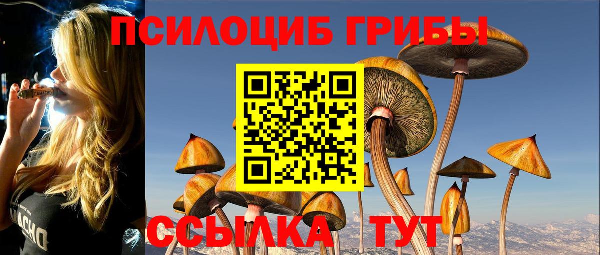 Галлюциногенные грибы Cubensis  Псилоцибиновые грибы Cubensis  Долгопрудный  Вход с VPN 