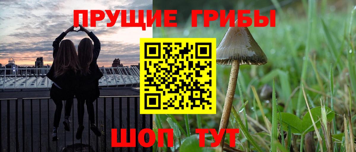 A-PVP Долгопрудный